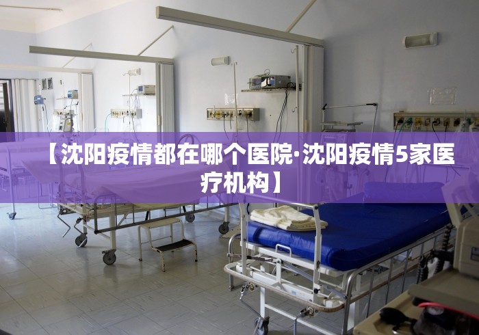 2026首发辅助“微乐卡五星挂真的么”-必赢神器安装