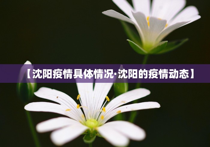 真实辅助“微乐捉老麻子麻将有没有挂(详细真的有挂)-知乎