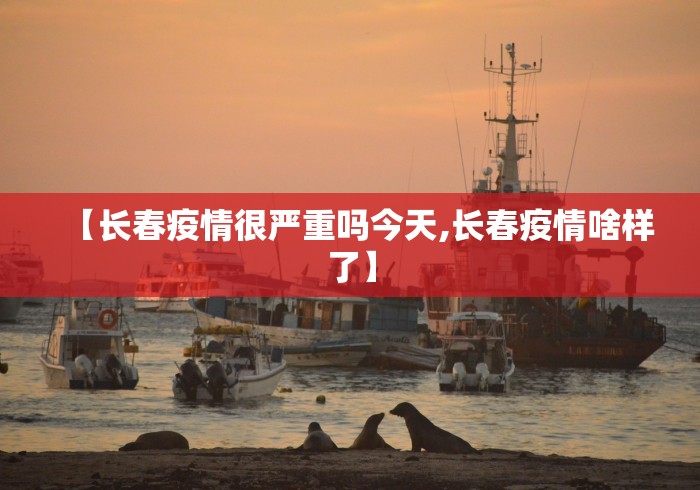 全新解说罗松十三张有没有挂”(曝光透视必备猫腻)
