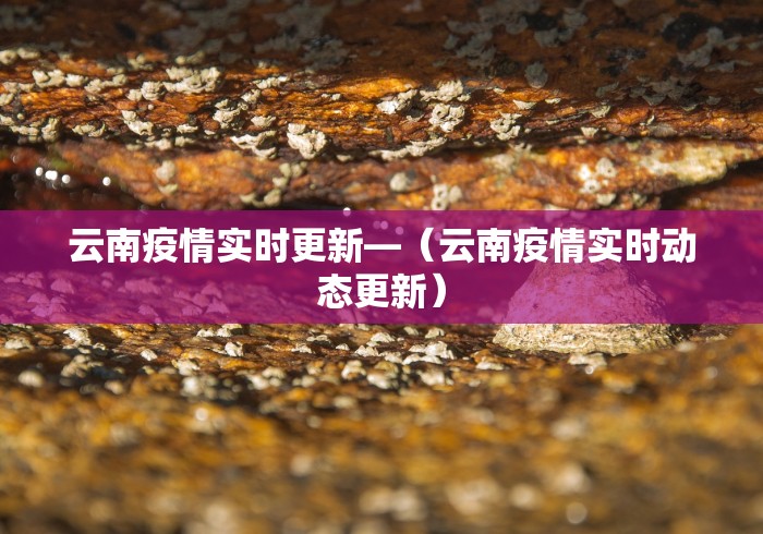 辅助神器“微信斗地主能开透视吗”(详细辅助脚本)