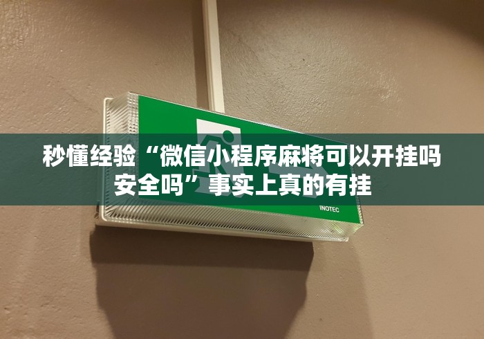 辅助神器“微乐山西麻将万能开挂器”其实有开挂插件!