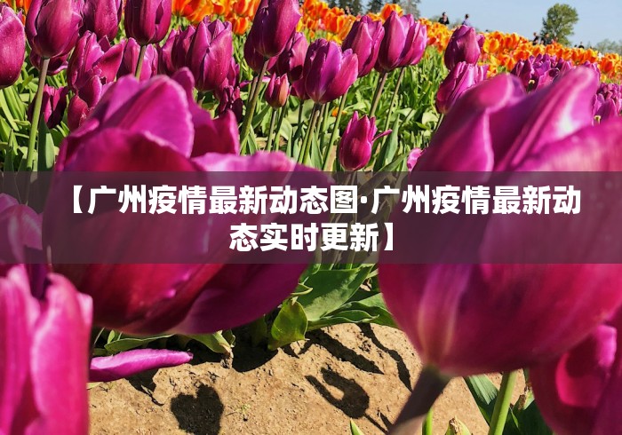 一分钟看懂“微乐河南麻将小程序万能挂免费版游戏亮点”分享用挂教程