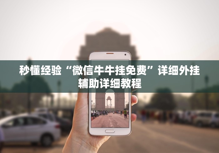 软件分享：熊猫二人麻将规律”-必赢神器安装