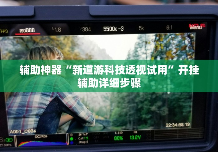 辅助神器“新道游科技透视试用”开挂辅助详细步骤