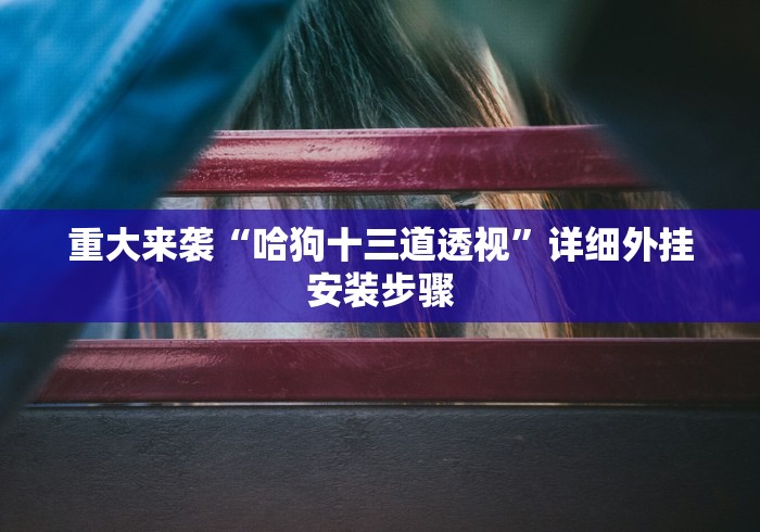 重大来袭“哈狗十三道透视”详细外挂安装步骤