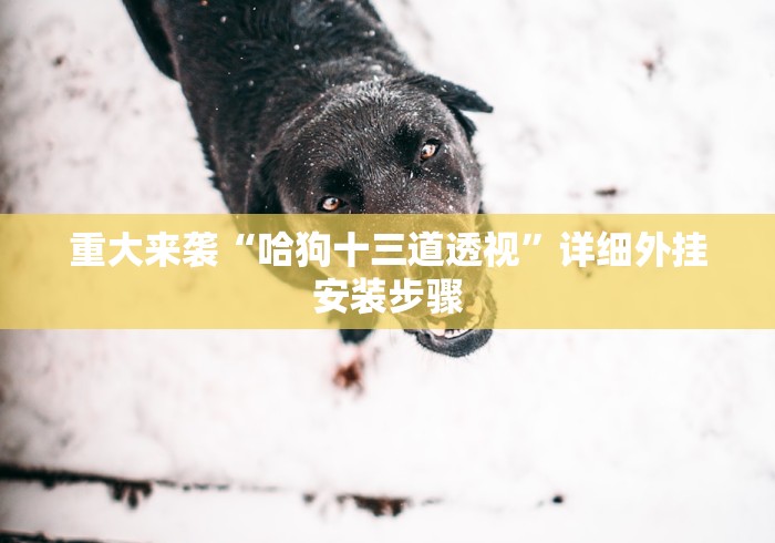 教程解析“掌悦麻将挂”揭秘透视辅助万能挂用法