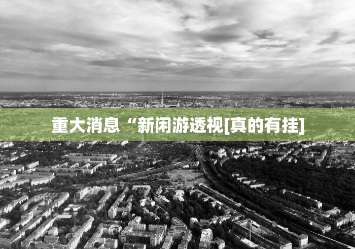 今日重磅消息“微乐河北麻将挂下载	”(最新透视辅助上线)