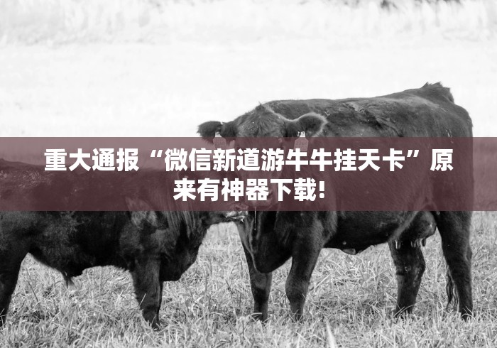 我来告诉你”微乐麻将开挂教程步骤”附透视挂详细教程