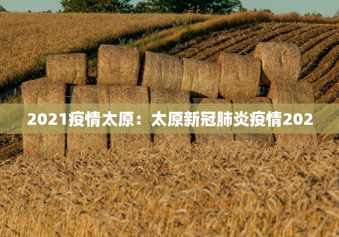 解析分享“人人烟台麻将秘籍	”分享辅助外挂教程