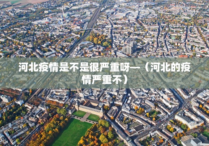 一分钟讲解“直隶麻将曲阳硬九张开挂”通用版下载教程!
