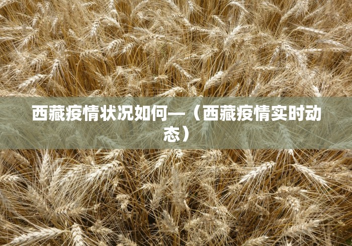 内幕揭晓“玩十三水的技巧”-必赢神器安装