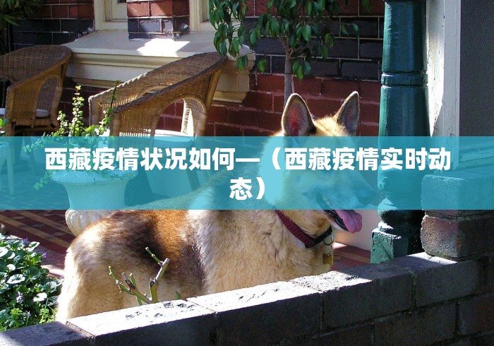 使用分享“大庆52麻将挂在哪买(透视)”开挂(透视)辅助教程