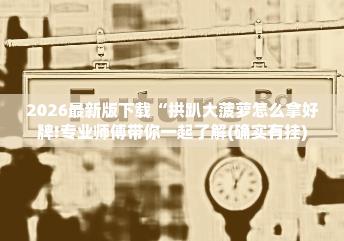 盘点一款“智星德州菠萝透视插件工具”详细开挂玩法
