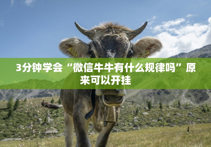 内测功能“大宝连云港麻将有挂吗[玩家必赢神器]