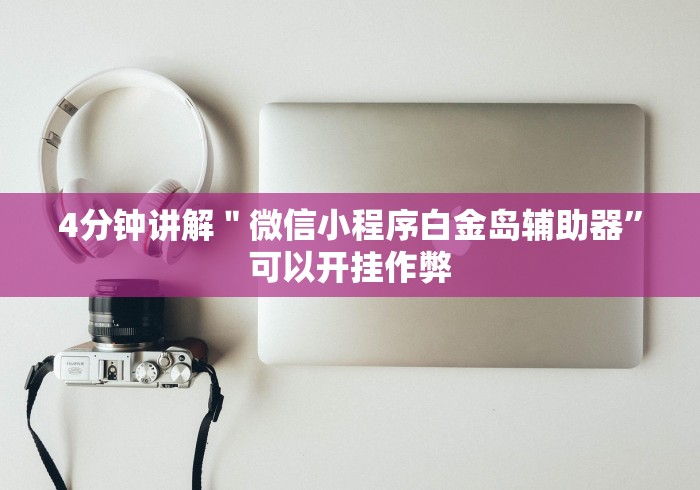 4分钟讲解＂微信小程序白金岛辅助器”可以开挂作弊
