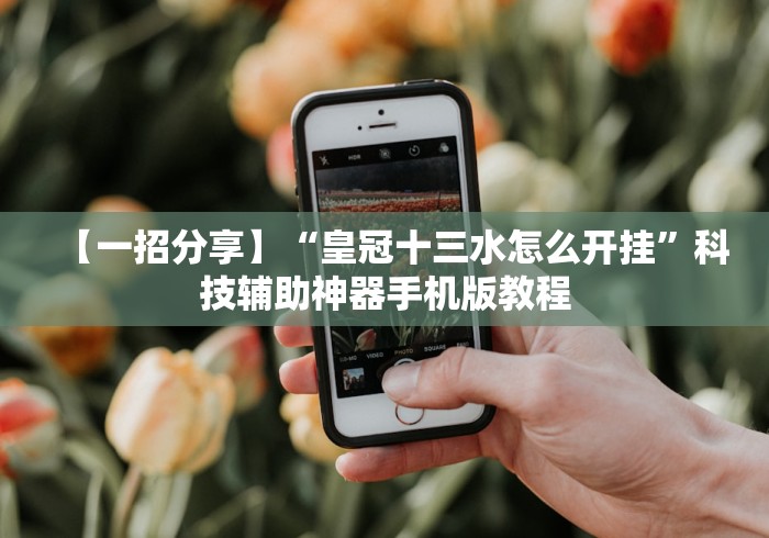 【知道】“边锋老友双城麻将胡牌神器”详细分享装挂步骤