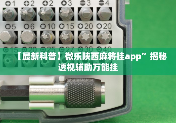 今日教程“老铁联盟开挂步骤	”-必赢神器安装