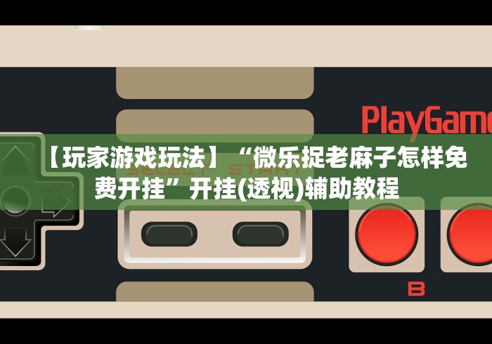 【玩家游戏玩法】“微乐捉老麻子怎样免费开挂”开挂(透视)辅助教程