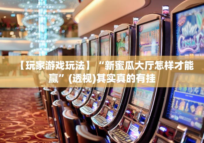 使用分享“呼包鄂作弊软件	”(透视)开挂详细教程