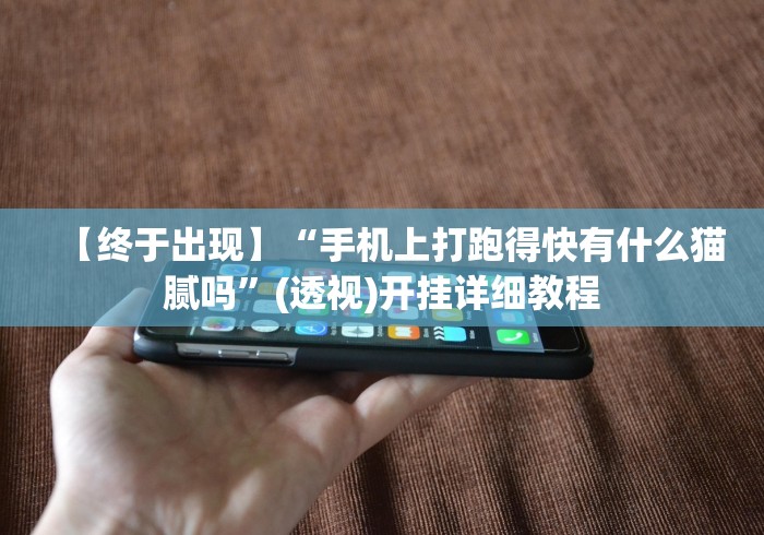 科普常识!九天大厅有挂吗”详细分享装挂步骤教程