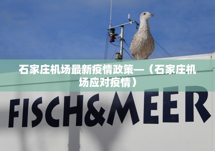 【重磅来袭】“九张牌比鸡技巧解读	”揭秘透视辅助万能挂