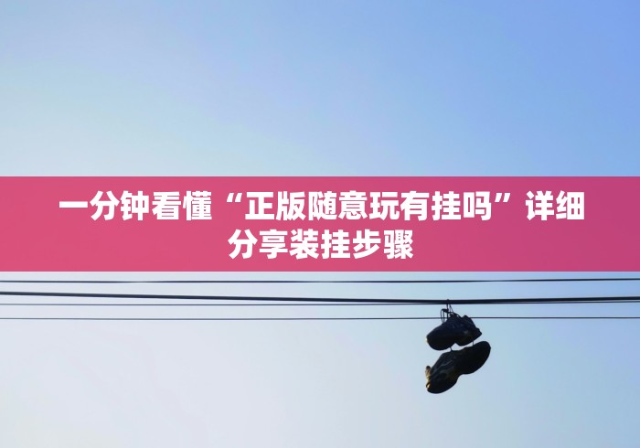 一分钟看懂“正版随意玩有挂吗”详细分享装挂步骤