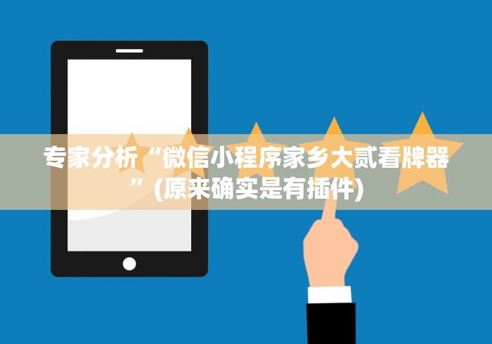专家分析“微信小程序家乡大贰看牌器”(原来确实是有插件)