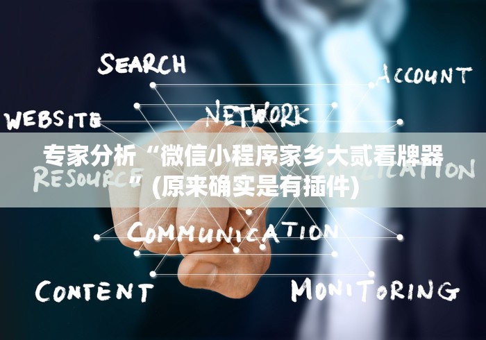 专家分析“微信小程序家乡大贰看牌器”(原来确实是有插件)