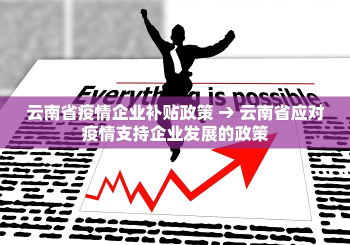 教程辅助“随意玩有挂吗”开挂(透视)辅助教程