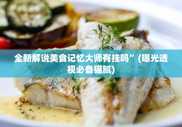 全新解说美食记忆大师有挂吗”(曝光透视必备猫腻)