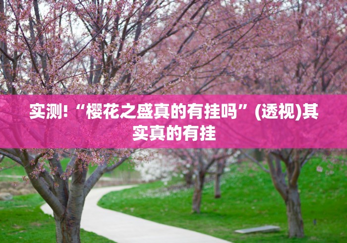 实测!“樱花之盛真的有挂吗	”(透视)其实真的有挂