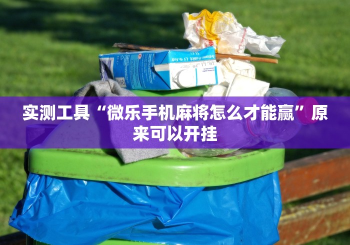 实测工具“微乐手机麻将怎么才能赢”原来可以开挂