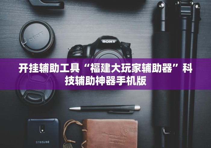 开挂辅助工具“福建大玩家辅助器	”科技辅助神器手机版