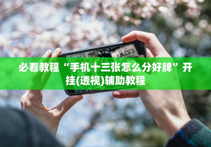 必看教程“手机十三张怎么分好牌”开挂(透视)辅助教程