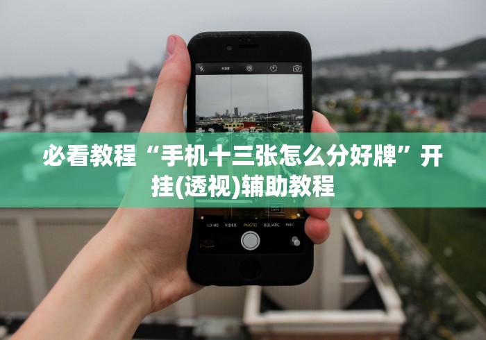 内测功能“关于：微乐麻将输赢规律”开挂详细教程