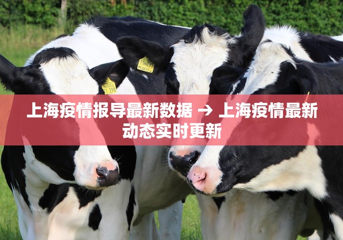 【第一资讯】“新鸿狐大厅有挂吗”2025开挂教程步骤