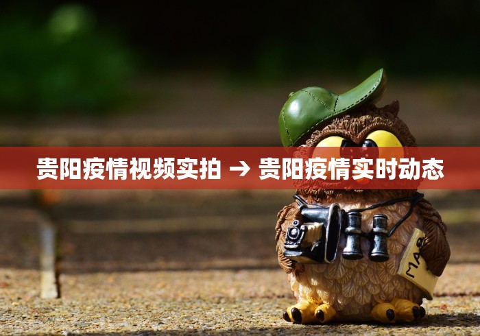 2026最新一代“微乐海南麻将有挂吗”作弊(透视)透视辅助
