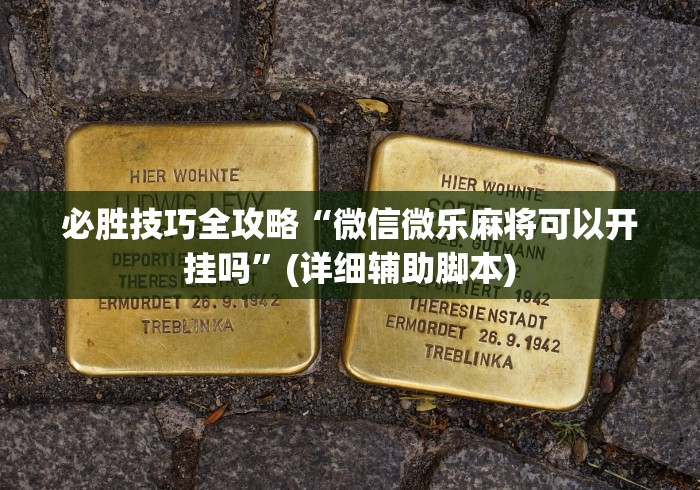 【技术分享】“微乐河北麻将小程序开挂教程(详细真的有挂)-知乎
