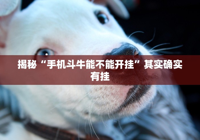 两分钟了解微乐填大坑透视多少钱	”(确实真的有挂)