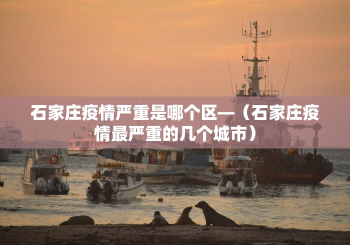 给大家讲解“微信小程序跑得快怎么拿好牌	”确实有挂
