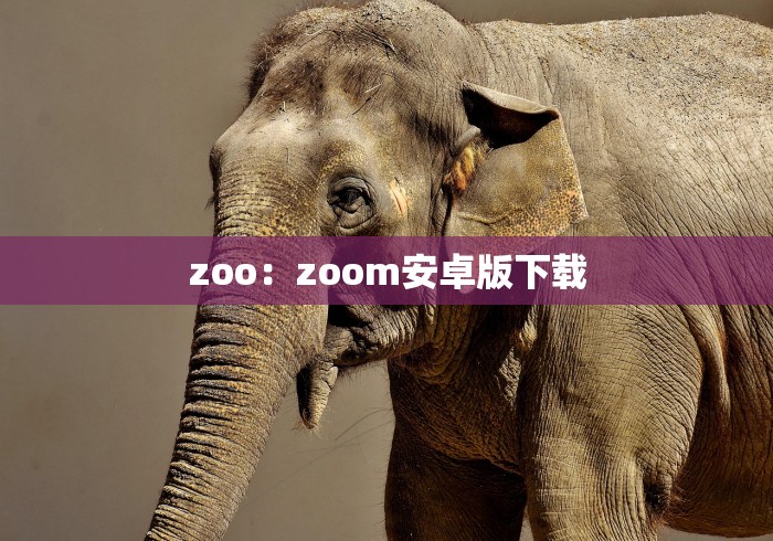 【揭秘一下】“微信麻将有技巧吗”(透视)其实确实有挂