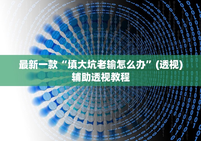 最新一款“填大坑老输怎么办”(透视)辅助透视教程