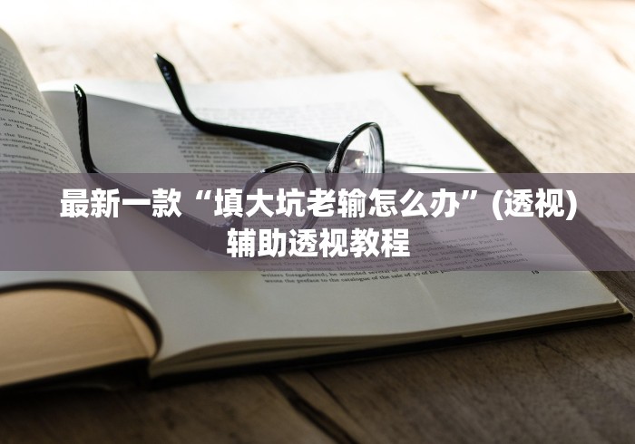 最新一款“填大坑老输怎么办”(透视)辅助透视教程