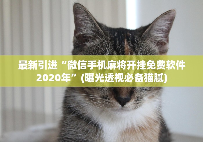 玩家秒懂“微乐干瞪眼开挂视频”(太坑了果然有挂)