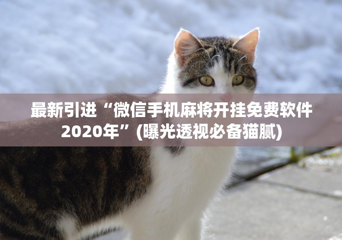 4分钟讲解＂真人天天麻将可以开挂吗	”通用版下载教程！
