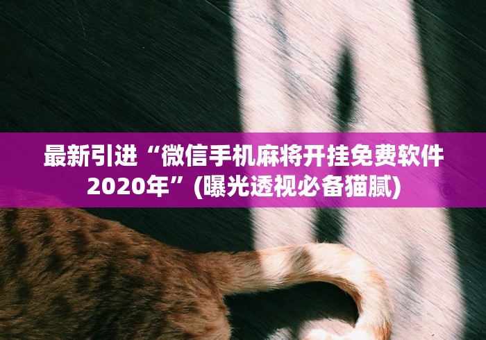 独家分析“微乐填大坑开挂”详细外挂透视辅助软件教程