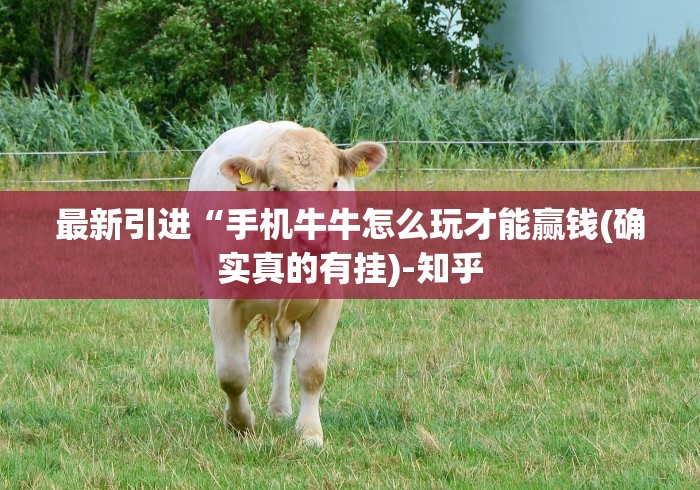 2026首发教程“胡乐安庆麻将开挂器免费版”揭秘透视辅助万能挂用法
