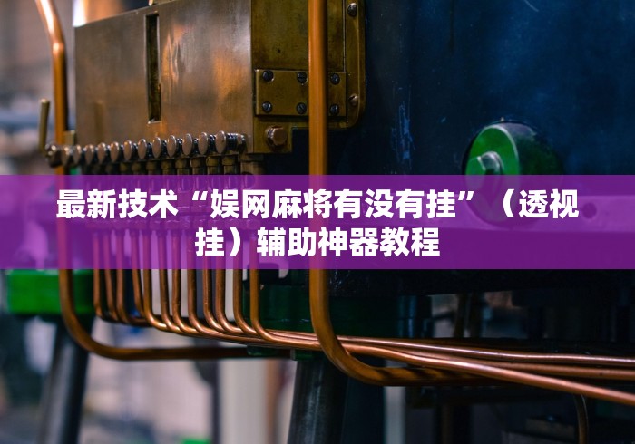 1分钟科普“微乐三代二开挂视频教程2020”开挂辅助脚本+详细