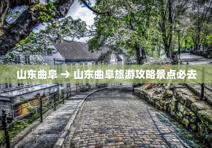 实测辅助“椰岛常胜游戏app有没有挂”(透视挂)详细用法教程