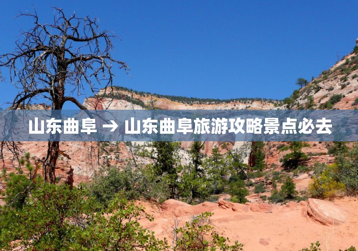 3分钟教程“微乐万能开挂器免费版下载[真的有挂]